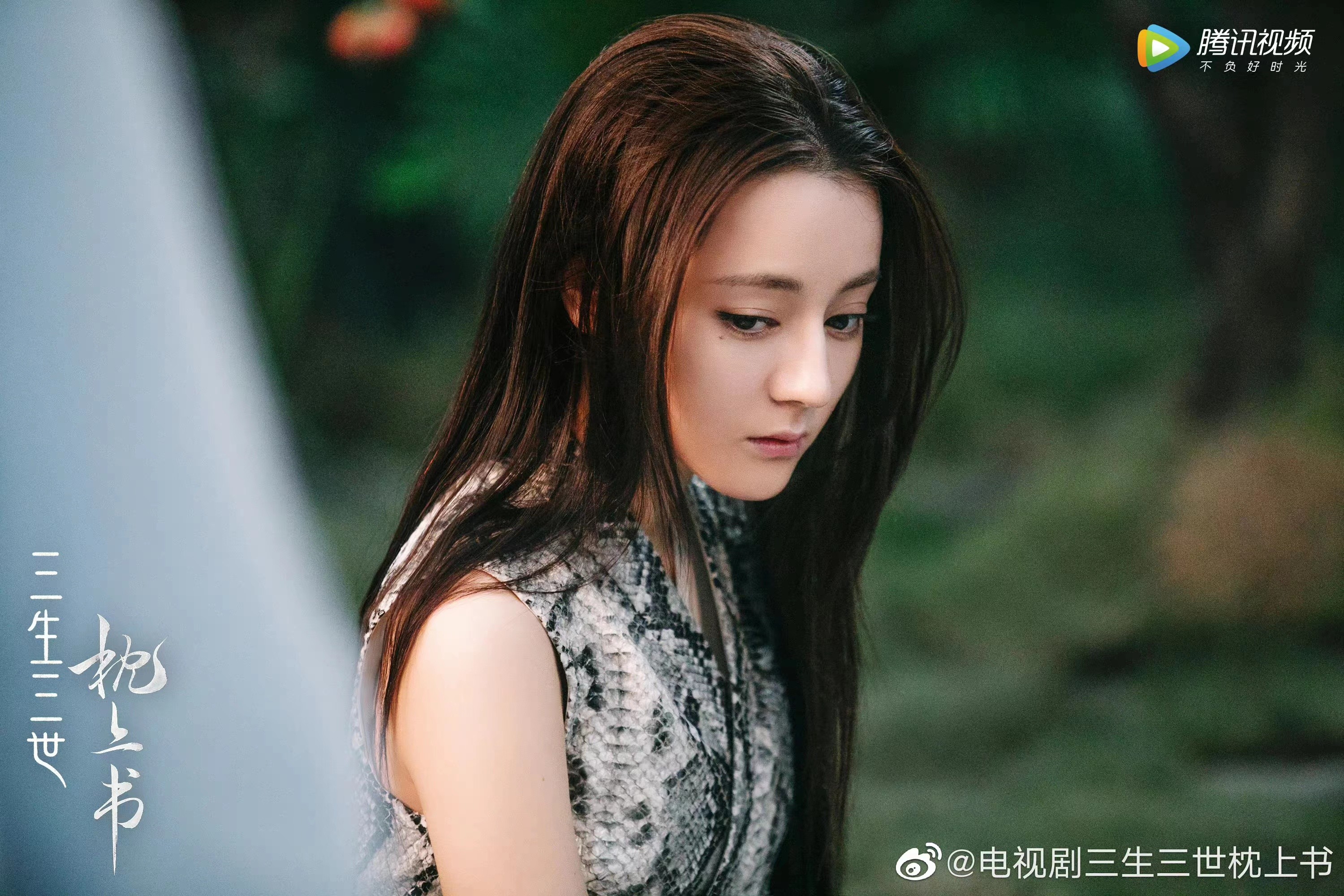 枕上书新浪采访